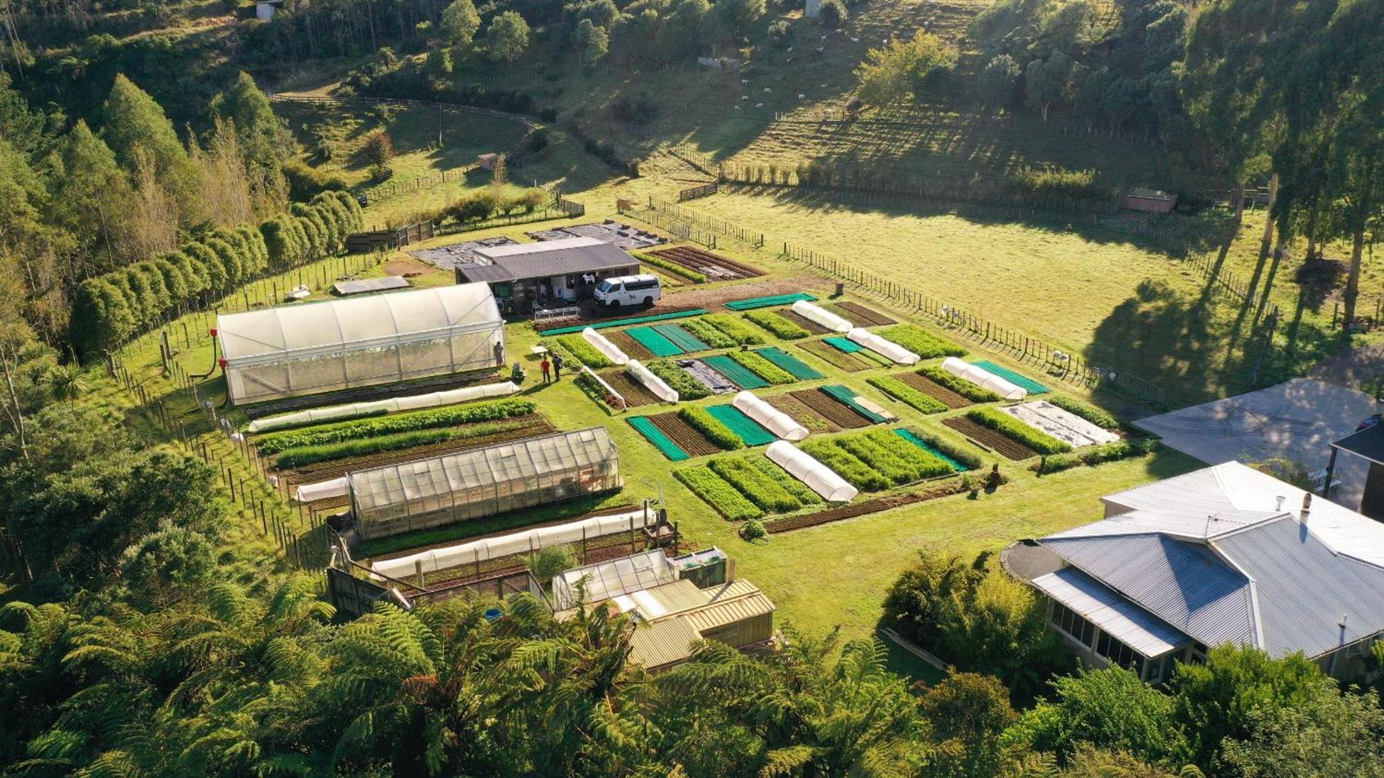 Roebuck Farm Stay New Plymouth Exterior photo